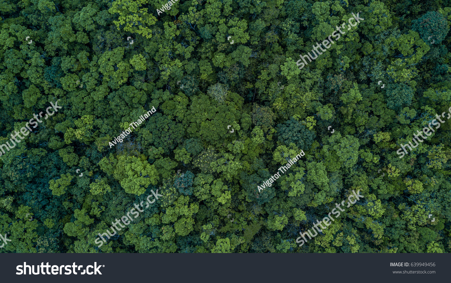 Luftbildaussichtswald, Textur der Waldsicht von oben. – Stockfoto