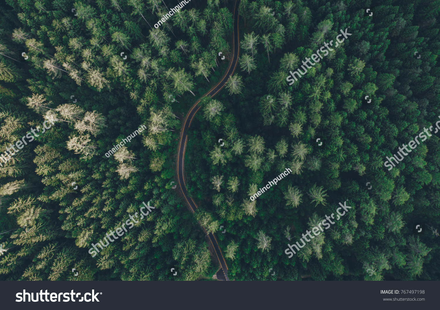 Luftbild einer Straße mitten im Wald – Stockfoto